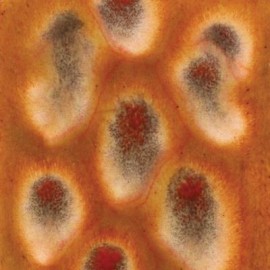 Dragons Breath - 16 oz Mayco Jungle Gem Crystal Glaze Dragons Breath - 16 oz Mayco Jungle Gem Crystal Glaze